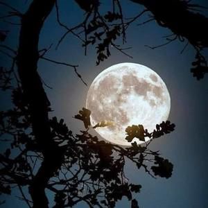 Meet your Posher, Lucia